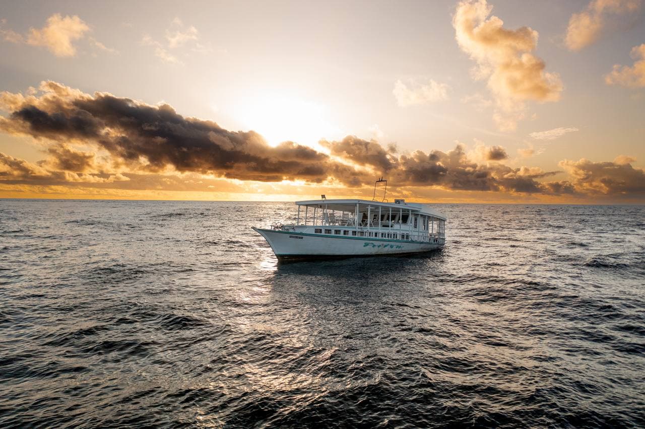 Cruise Republic in the Maldives
